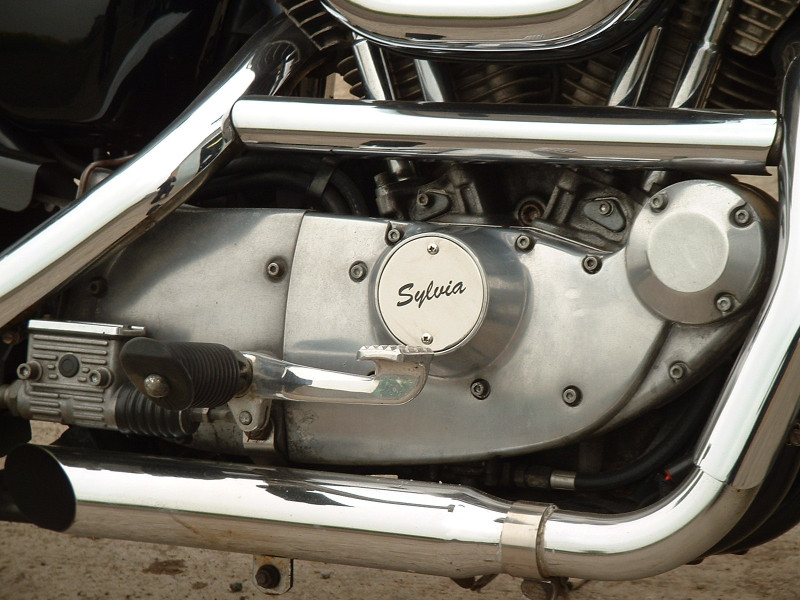 Sylvia's Sportster. Custom one off SS etched and colour filled points covers for Harleys including Twin Cam.